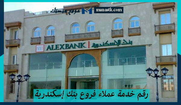 رقم خدمة عملاء فروع بنك إسكندرية شكاوي الخط الساخن الموحد 2025 للاستفسار والشكاوي