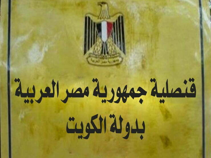 رقم السفارة المصرية بجدة الخط الساخن المجاني 2023