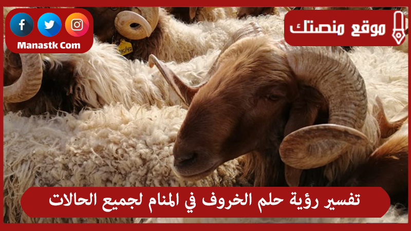 تفسير رؤية حلم الخروف في المنام لجميع الحالات