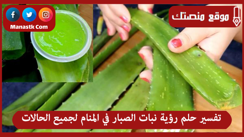 تفسير حلم رؤية نبات الصبار في المنام لجميع الحالات