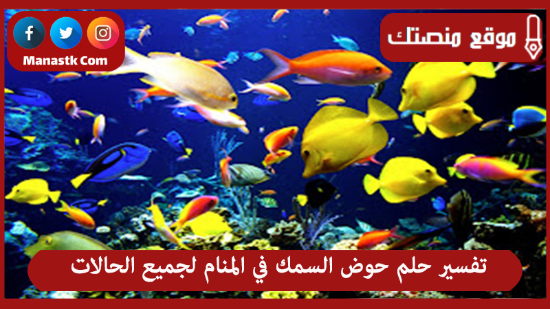 تفسير حلم حوض السمك في المنام لجميع الحالات
