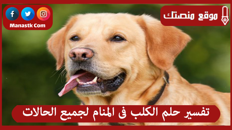 تفسير حلم الكلب فى المنام لجميع الحالات