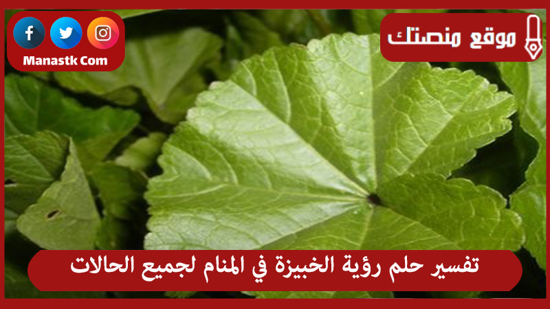 تفسير حلم رؤية الخبيزة في المنام لجميع الحالات