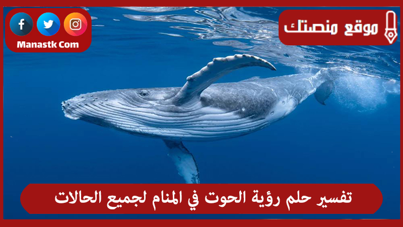 تفسير حلم رؤية الحوت في المنام لجميع الحالات