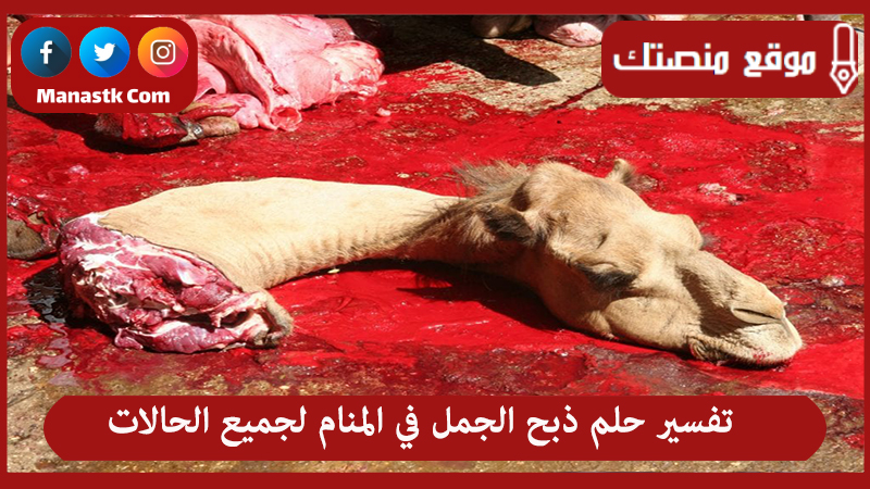 تفسير حلم ذبح الجمل في المنام لجميع الحالات