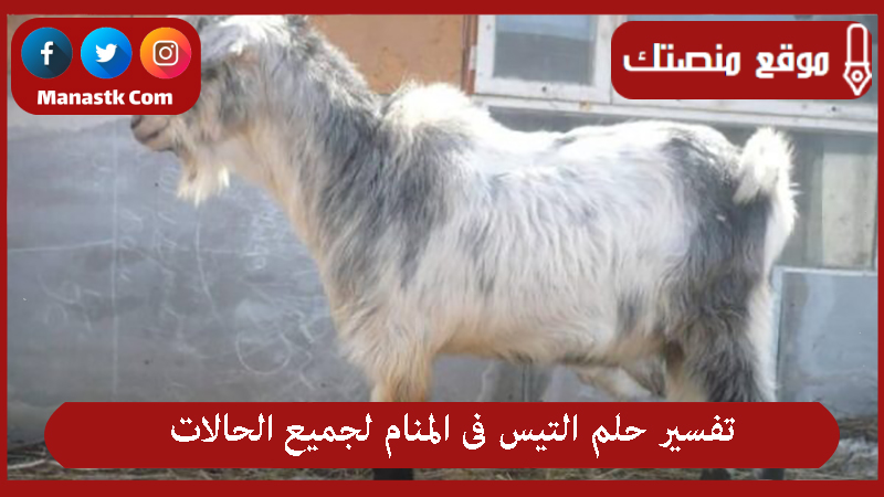 تفسير حلم التيس فى المنام لجميع الحالات