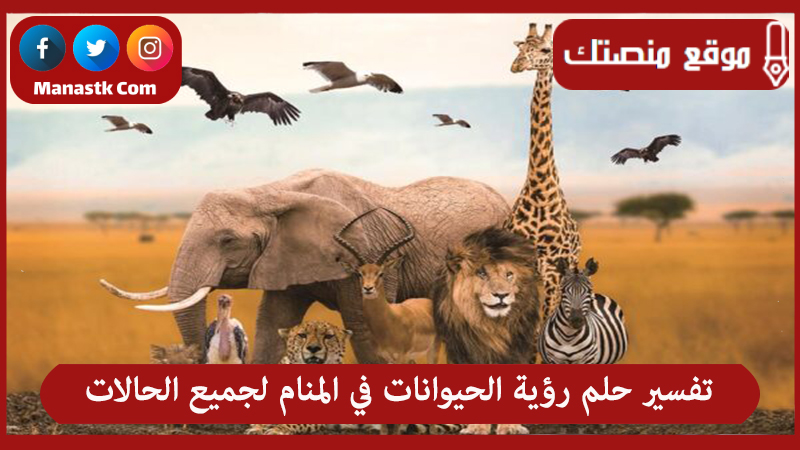 تفسير حلم رؤية الحيوانات في المنام لجميع الحالات