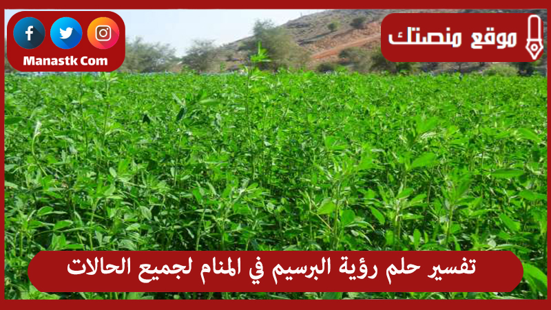 تفسير حلم رؤية البرسيم في المنام لجميع الحالات