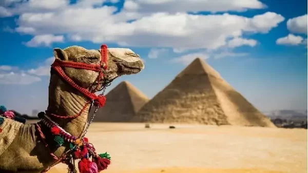 موضوع تعبير عن السياحة بالعناصر مع المقدمة والخاتمة جاهز للطباعة