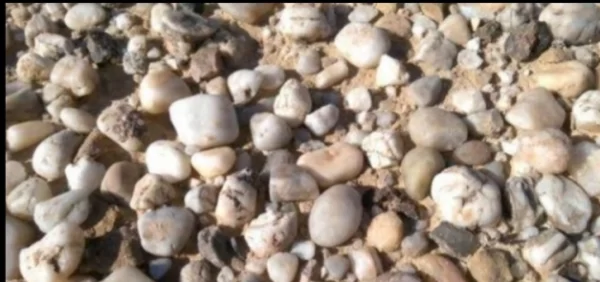 تفسير حلم رؤية الزلط في المنام لجميع الحالات