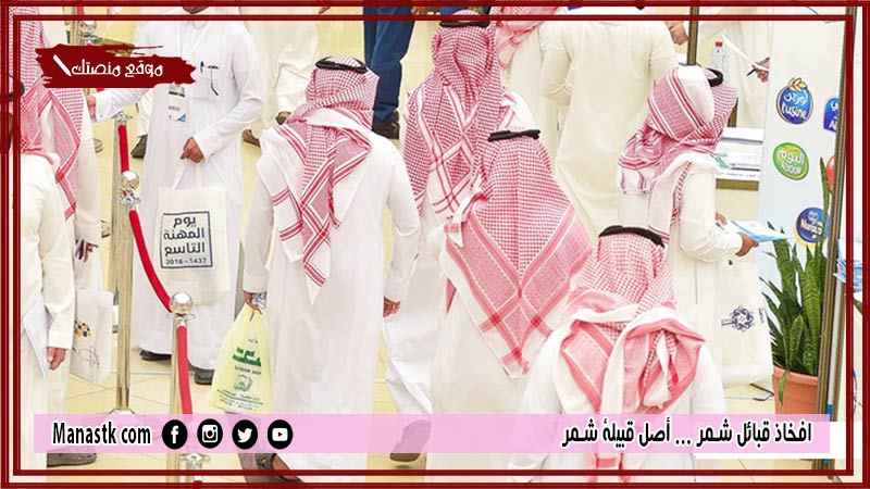 افخاذ قبائل شمر … أصل قبيلة شمر