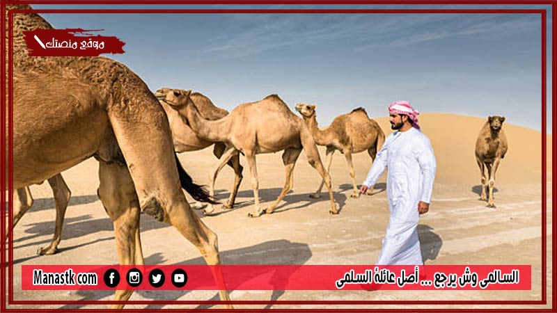 السالمي وش يرجع … أصل عائلة السلمي