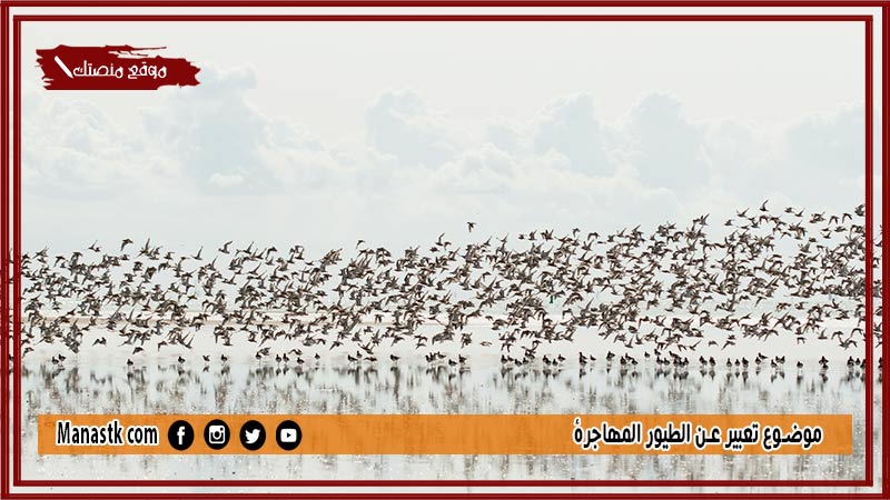 موضوع تعبير عن الطيور المهاجرة بالعناصر مع المقدمة والخاتمة جاهز للطباعة