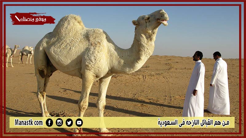 من هم القبائل النازحه في السعودية