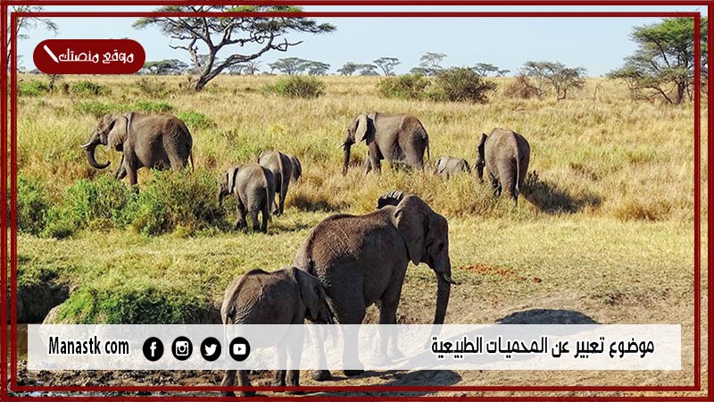 موضوع تعبير عن المحميات الطبيعية بالعناصر مع المقدمة والخاتمة جاهز للطباعة