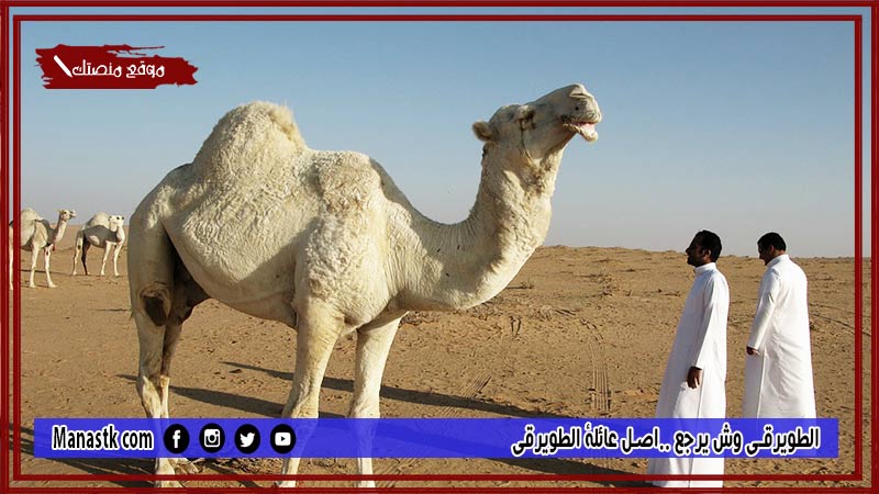 الطويرقي وش يرجع ..اصل عائلة الطويرقي