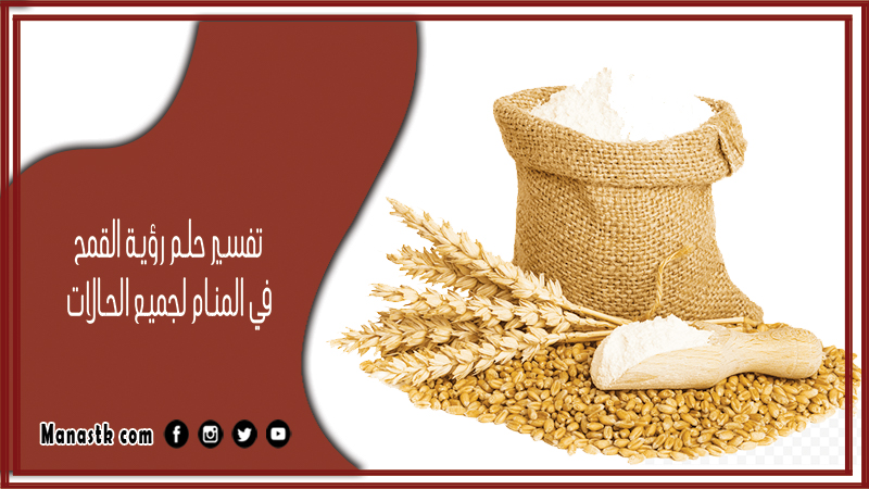 تفسير حلم رؤية القمح في المنام