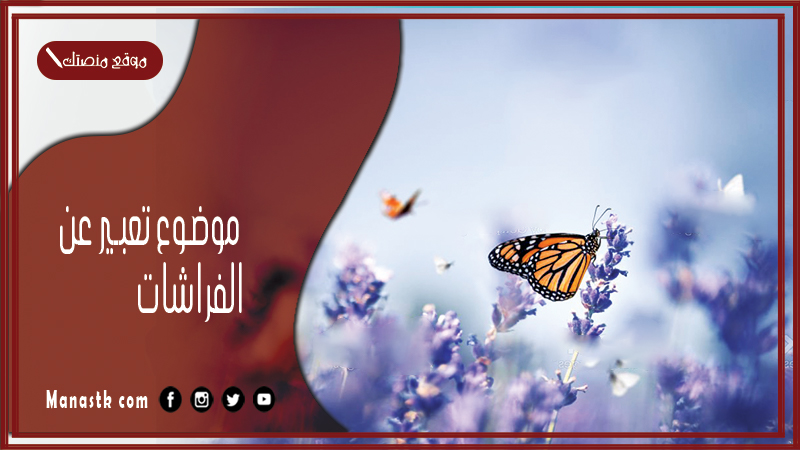 موضوع تعبير عن الفراشات بالعناصر مع المقدمة والخاتمة جاهز للطباعة