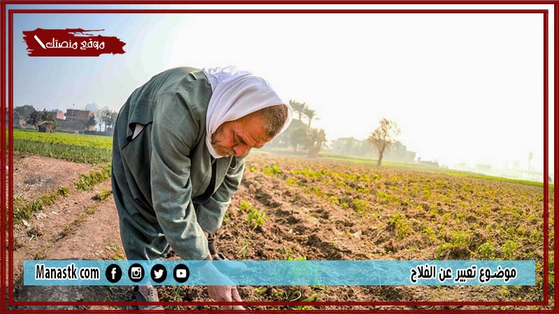 موضوع تعبير عن الفلاح بالعناصر مع المقدمة والخاتمة جاهز للطباعة