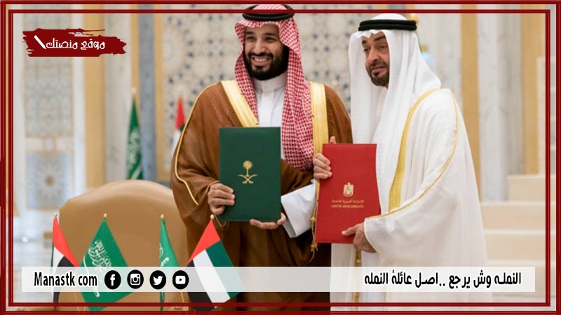 النمله وش يرجع ..اصل عائلة النمله