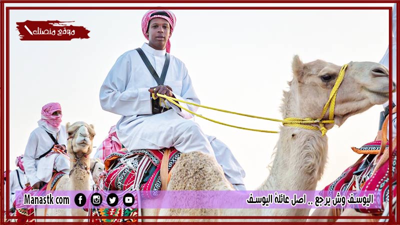 اليوسف وش يرجع .. اصل عائلة اليوسف