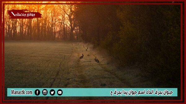 اسم حيوان بحرف الحاء ح والمعلومات عنه