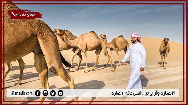 الانصاري وش يرجع .. اصل عائلة الانصاري