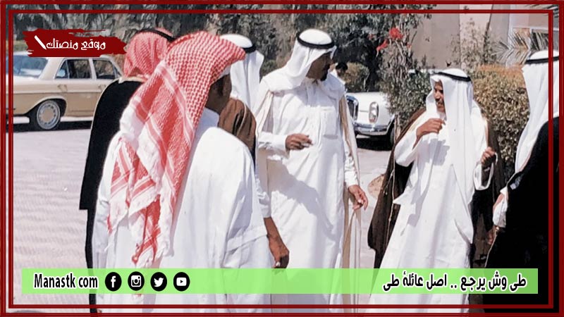 طي وش يرجع .. اصل عائلة طي