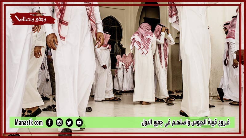 فروع قبيلة الحبوس واصلهم في جميع الدول