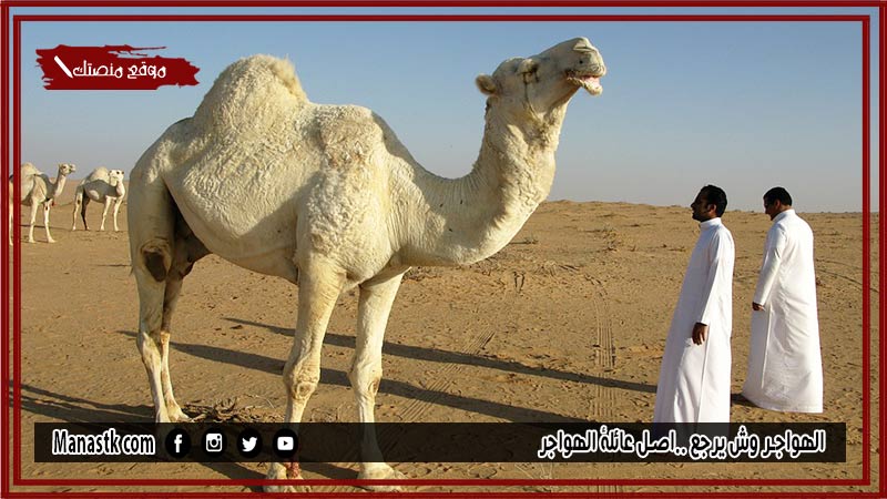 الهواجر وش يرجع ..اصل عائلة الهواجر