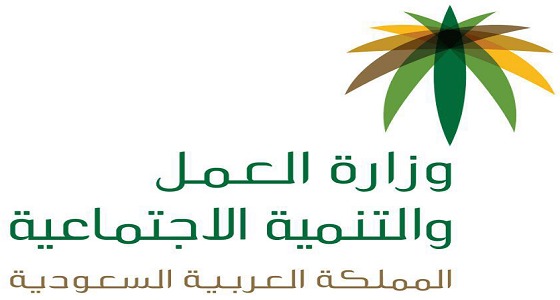 استعلام عن طلب نقل كفالة