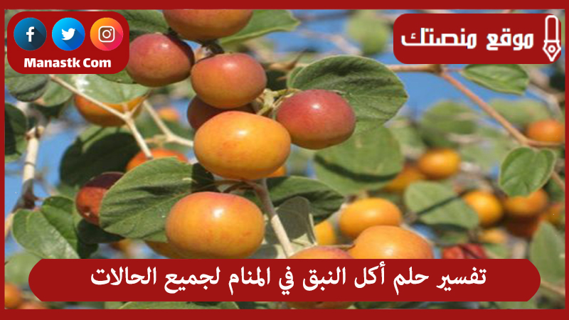تفسير حلم أكل النبق في المنام لجميع الحالات
