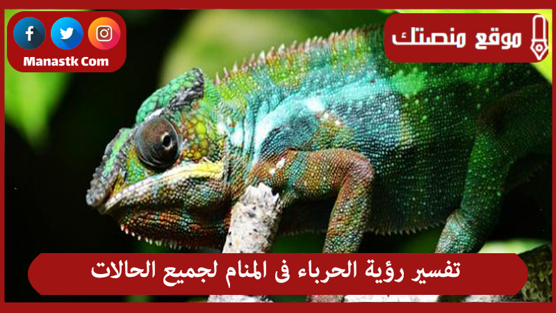 تفسير رؤية الحرباء فى المنام لجميع الحالات