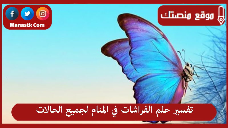 تفسير حلم رؤية الفراشة في المنام لجميع الحالات