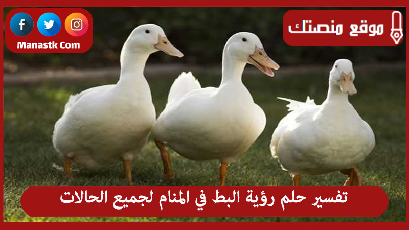 تفسير حلم رؤية البط في المنام لجميع الحالات