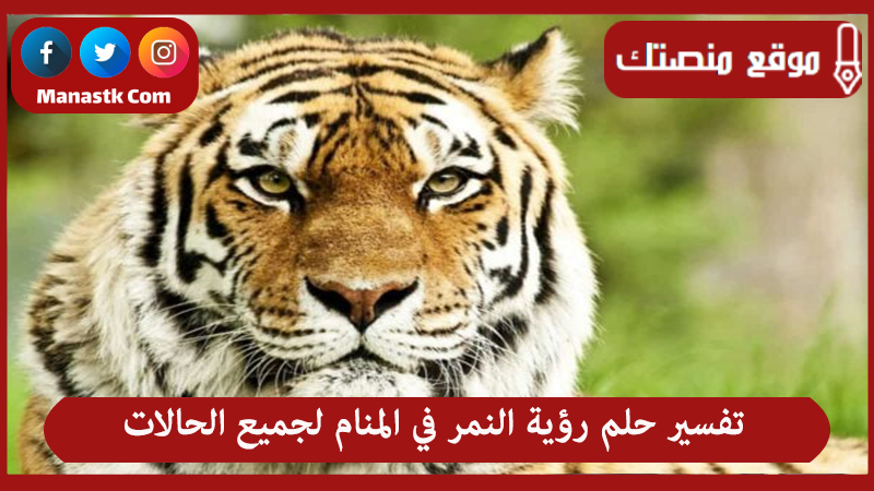 تفسير حلم رؤية النمر في المنام لجميع الحالات