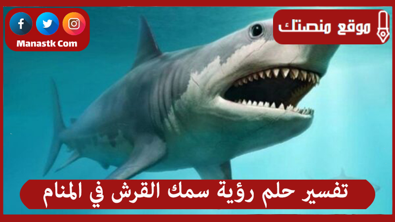 تفسير حلم رؤية سمك القرش في المنام لجميع الحالات