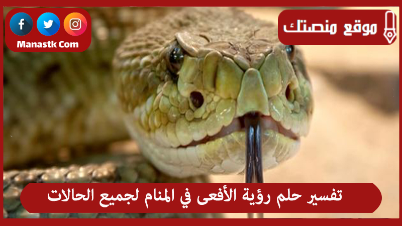 تفسير حلم رؤية الأفعى في المنام لجميع الحالات
