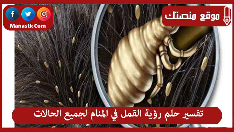 تفسير حلم رؤية القمل في المنام لجميع الحالات
