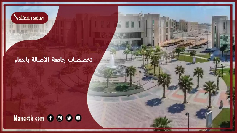 تخصصات جامعة الأصالة بالدمام 1447 جامعة الاصالة