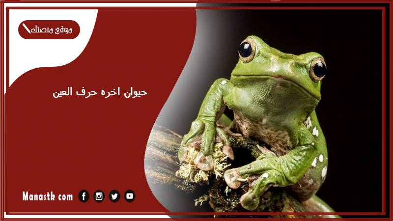 حيوان اخره حرف العين حيوانات تنتهي بحرف ع