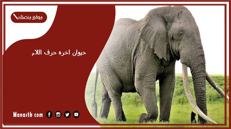 حيوان اخره حرف اللام حيوانات تنتهي بحرف ل