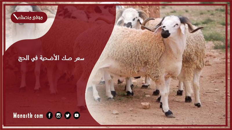 سعر صك الأضحية في الحج
