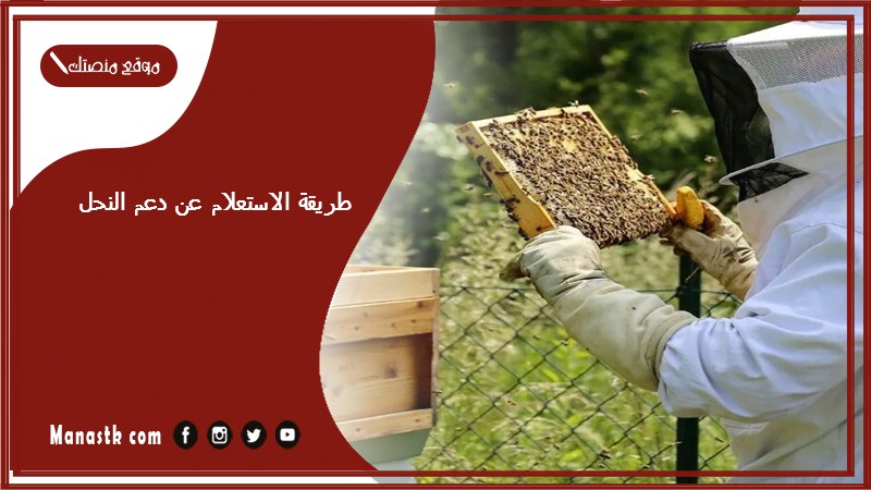 طريقة الاستعلام عن دعم النحل