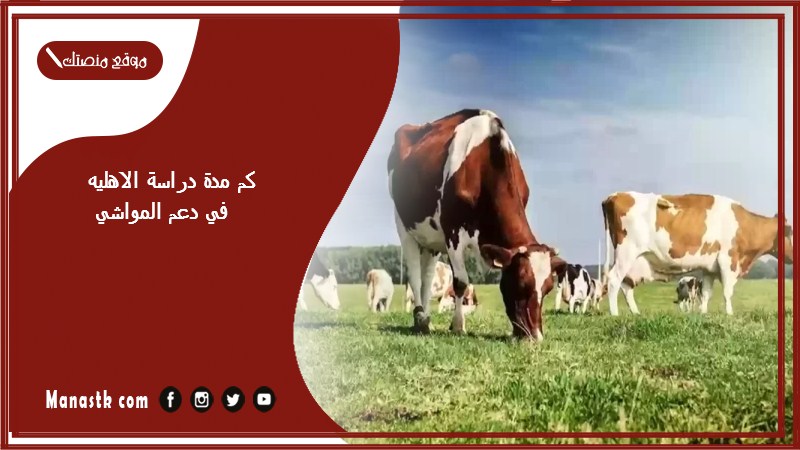 كم مدة دراسة الاهليه في دعم المواشي