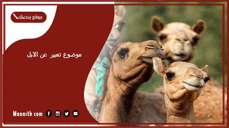 موضوع تعبير عن الابل بالعناصر مع المقدمة والخاتمة جاهز للطباعة