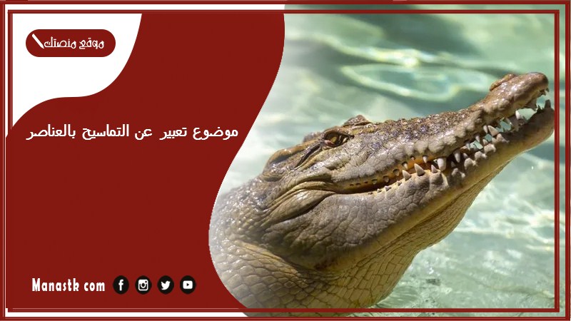 موضوع تعبير عن التماسيح بالعناصر مع المقدمة والخاتمة جاهز للطباعة