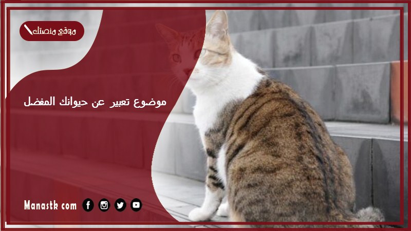 موضوع تعبير عن حيوانك المفضل بالعناصر مع المقدمة والخاتمة جاهز للطباعة