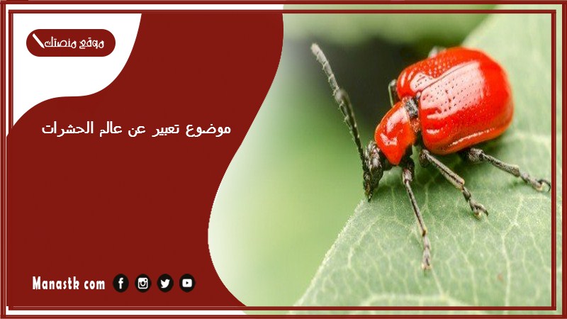 موضوع تعبير عن عالم الحشرات بالعناصر مع المقدمة والخاتمة جاهز للطباعة
