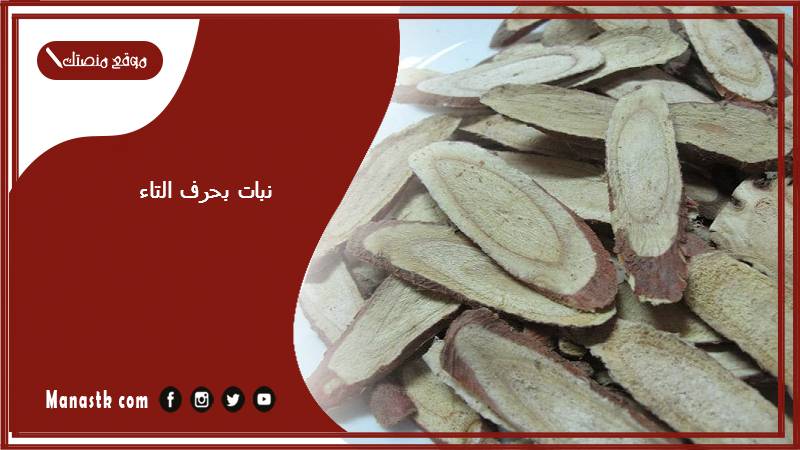 نبات بحرف التاء 2025 اسم فاكهة بحرف التاء خضار بحرف ت